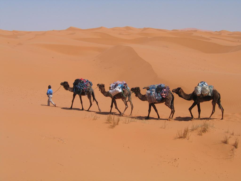 Camel Trek Bivouac * Merzouga