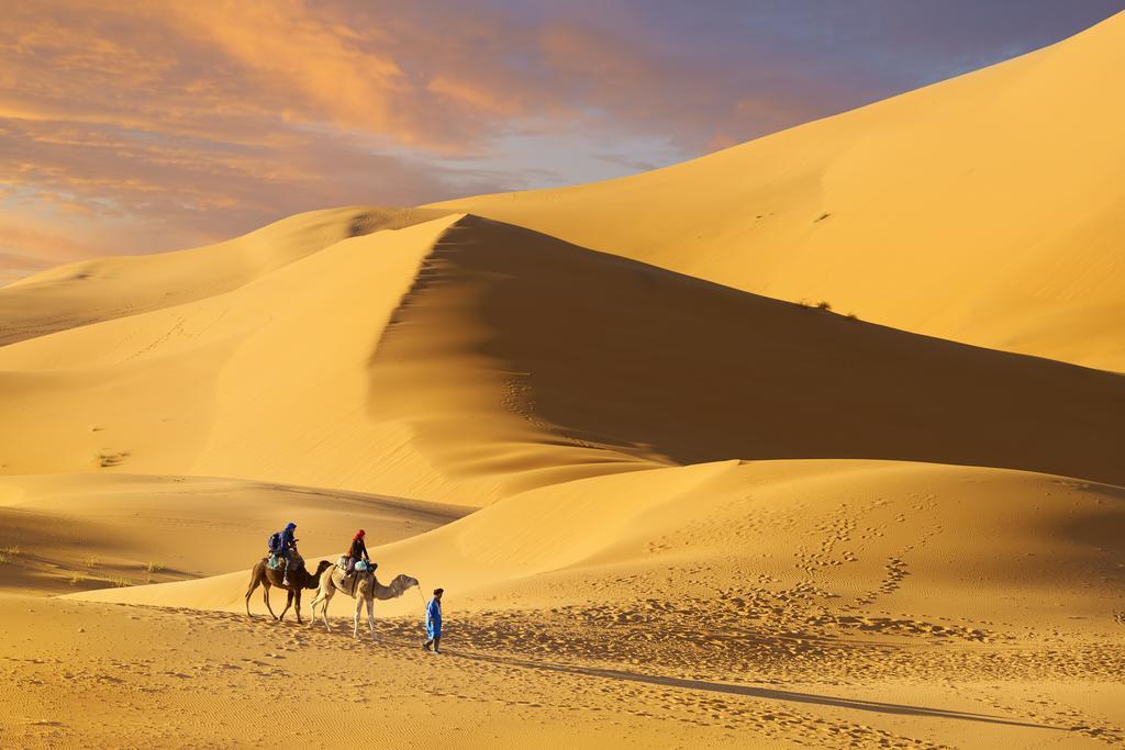 Camel Trek Bivouac *